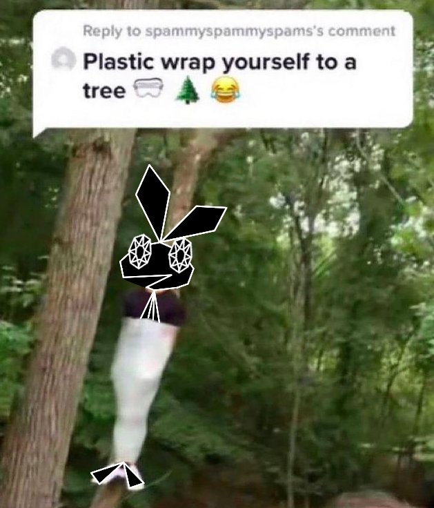 How'd she get up there